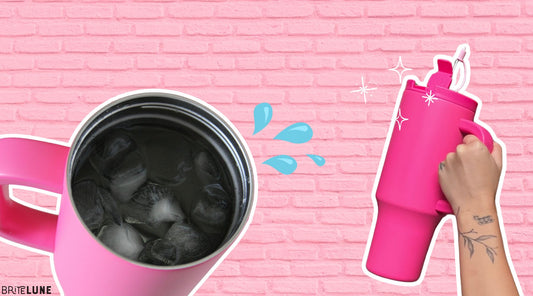 8 Reasons Why Stainless Steel Tumblers Are Worth the Investment - BriteLune