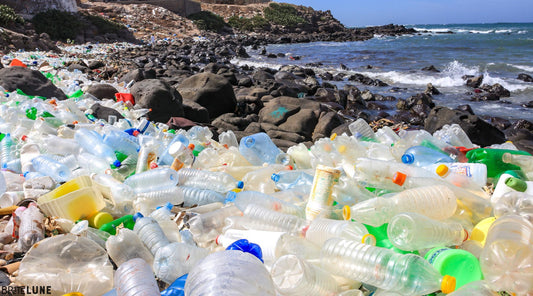 Battling Ocean Plastic: How Reusable Tumblers Make a Difference - BriteLune