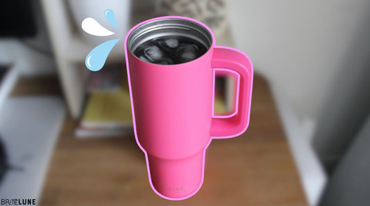 Does Stainless Steel Contain BPA? - BriteLune