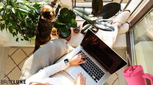 Harmonizing Work and Home Life: Hydration Tips That Stick - BriteLune