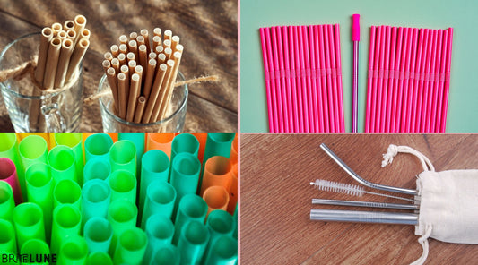 Paper, Silicone, Plastic, or Steel: Which Straw Is Best? - BriteLune